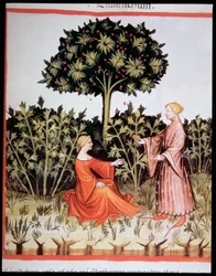 Collecting Celeriac, from Tacuinum Sanitatis Codex Vindobonensis